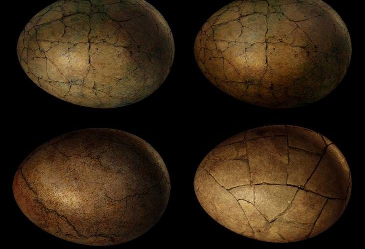 Pódcast HistorHilando T1E6 Historia de los dinosaurios en España